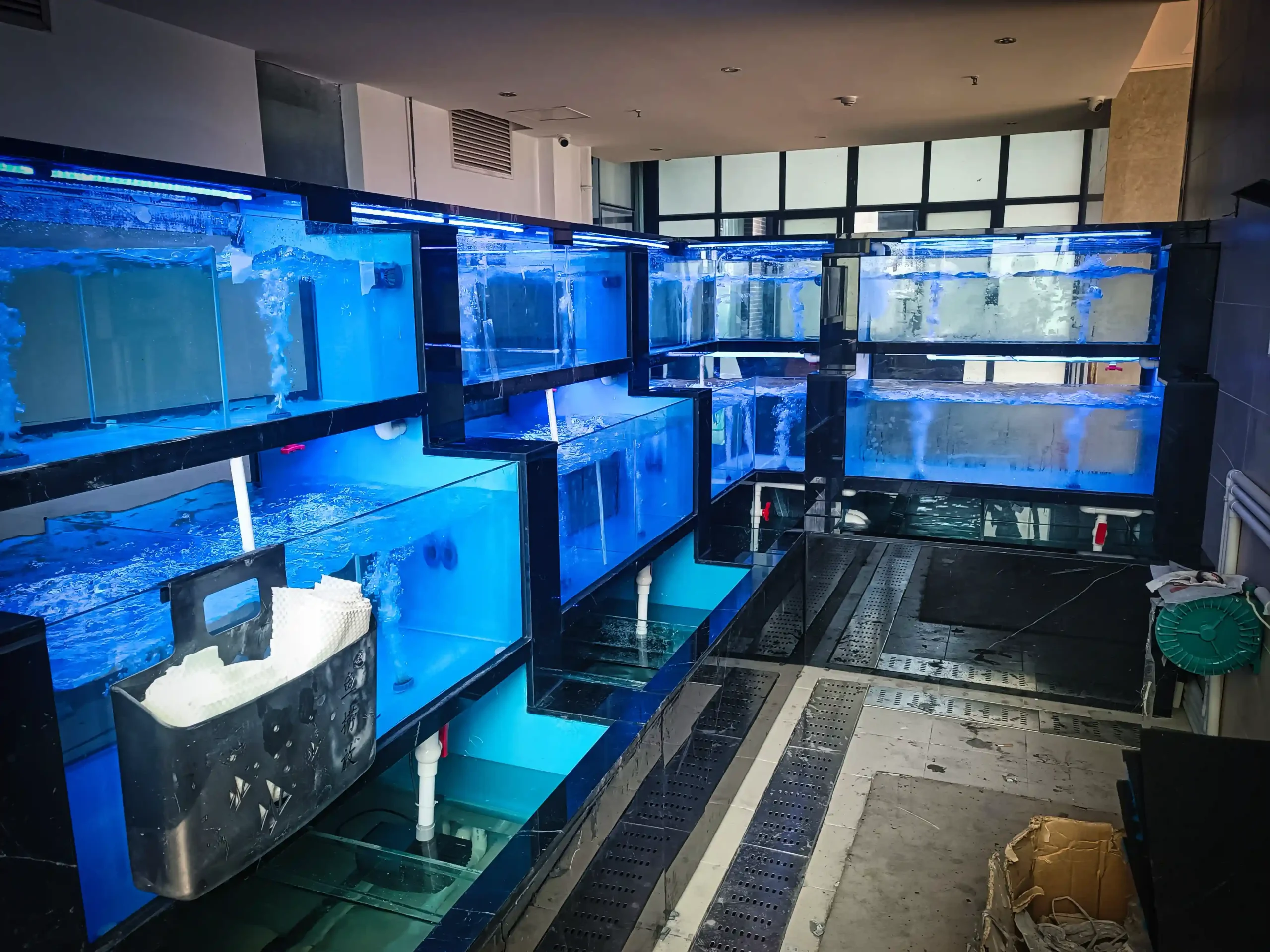 餐馆海河鲜池-重庆市南岸区南滨路渝信川菜