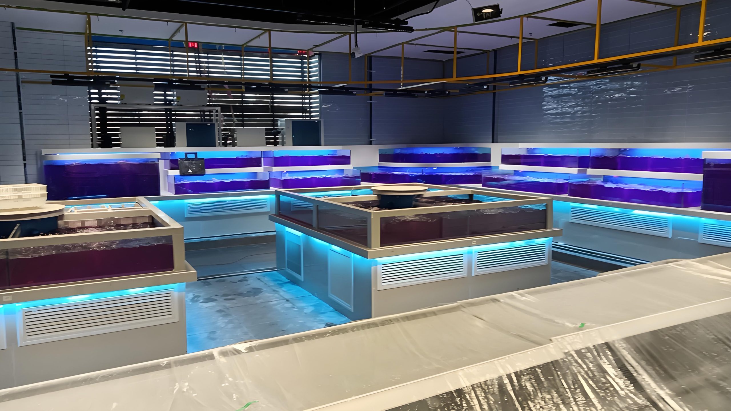 商超鱼缸-云南省昭通市德麦盛超市