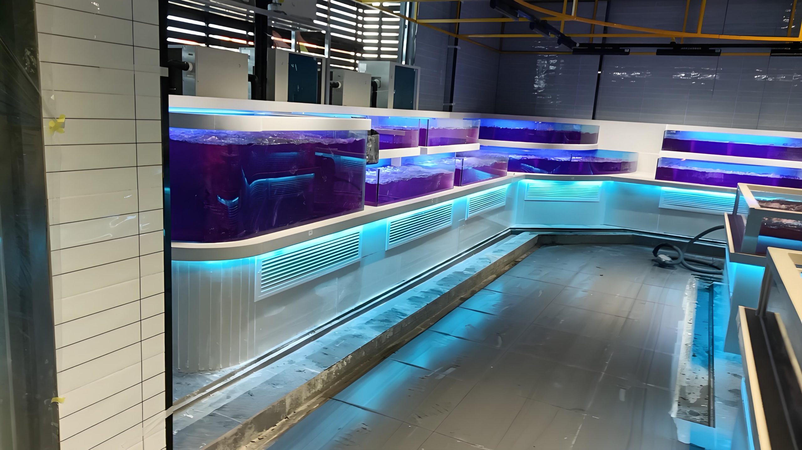 商超鱼缸-云南省昭通市德麦盛超市